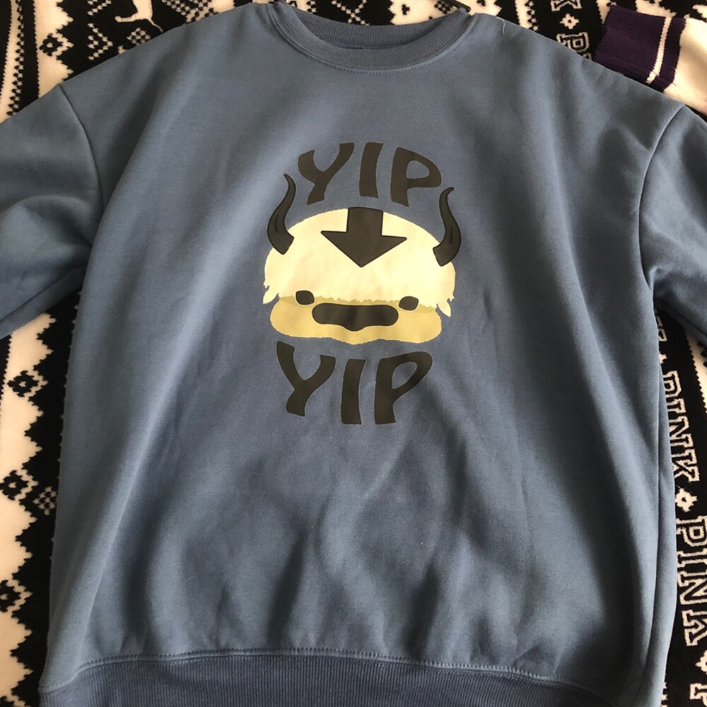 Men's Fleece Avatar The Last Airbender Harajuku Loose Streetwear O Neck Sweater