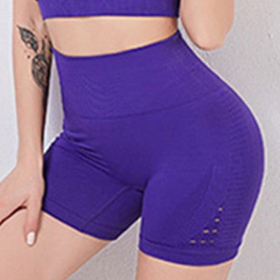 Women Seamless Yoga Set Shorts 2 Piece Gym Set